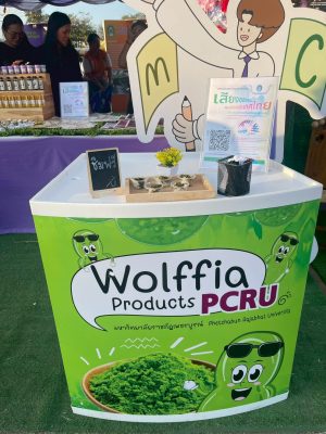 บูธ Wolffia Products PCRU มหาวิทยาลัยราชภัฏเพชรบูรณ์ ในงานมะขามหวานนครบาลเพชรบูรณ์ ปี 2569 สวพ. มร.เพชรบูรณ์